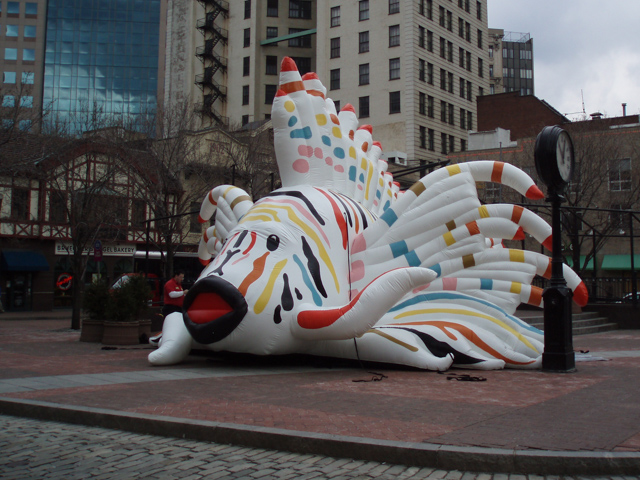 “Like a Lionfish Out of Water” by Alison Zapata